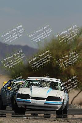 media/Oct-12-2025-Lucky Dog Racing (Sun) [[8adb5568ea]]/3-Third    Stint/4-Turn 4 (Tree of Life)/